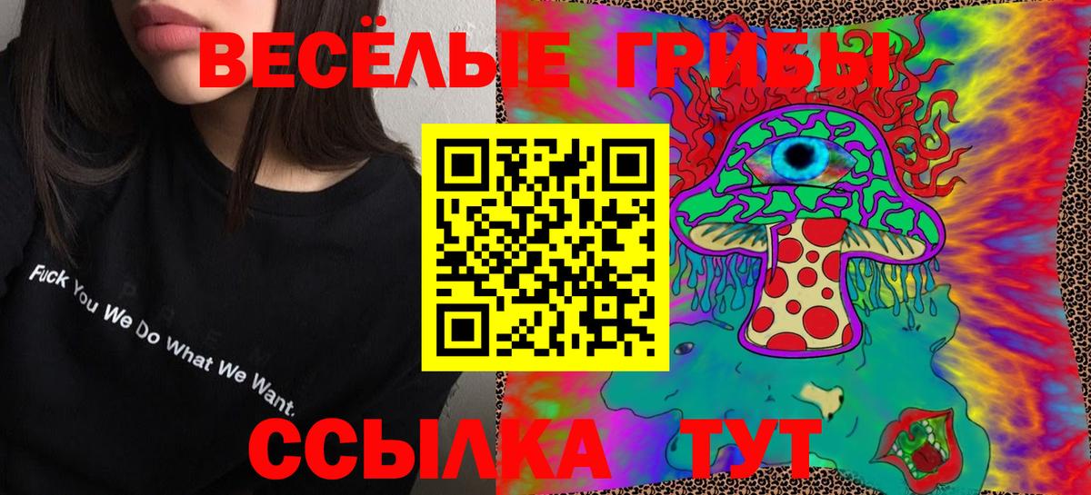 Псилоцибиновые грибы мухоморы Кингисепп