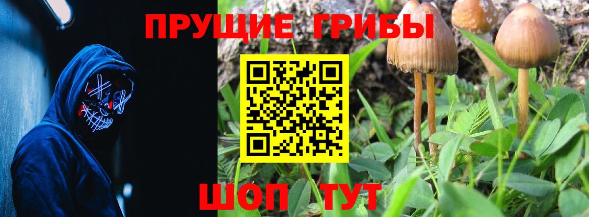 Псилоцибиновые грибы мухоморы  Вход с VPN  Кингисепп 